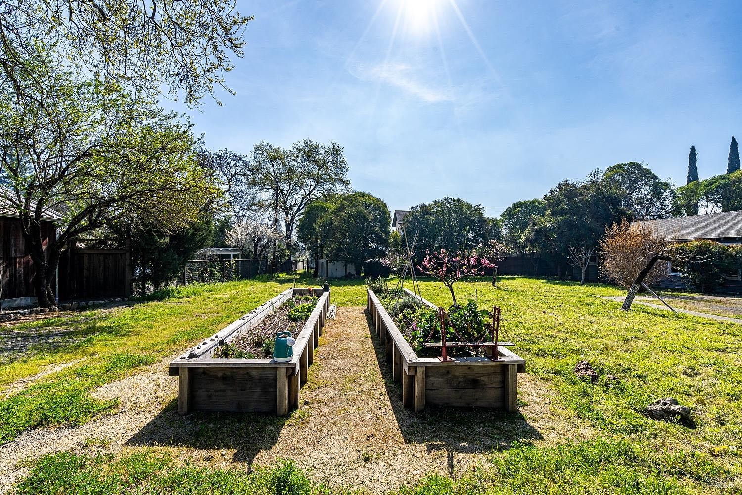 Long raised vegetable beds with morning sun flare and the rear cottage in the distance.