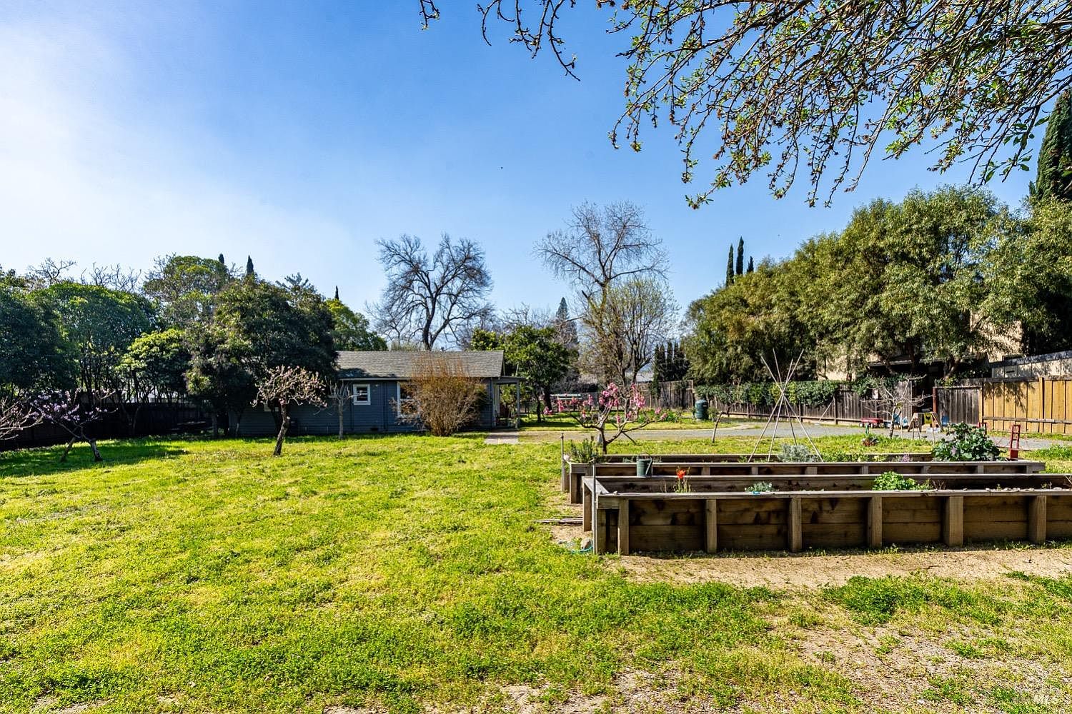 Open lawn looking toward the small blue cabin, with raised garden beds at right.