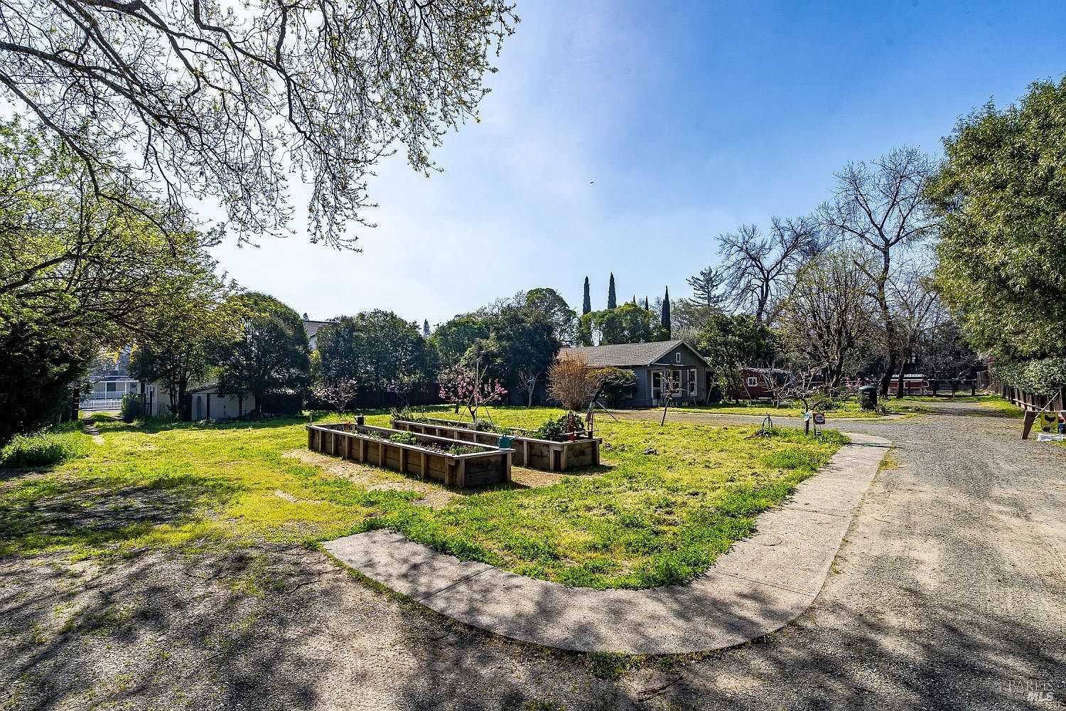 The open-lot interior of the Saint Helena westside parcel, with mature trees, raised garden beds, and the existing 1946 cottage in the distance under a clear blue sky.